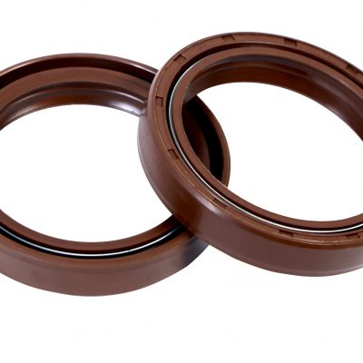 FORK Oil Seals Pair For BMW F850 GSA 2021-2023-CPF435411 (55-120)-CRANK1