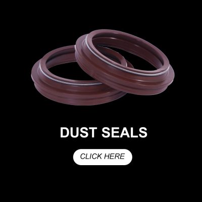 Dust Seals